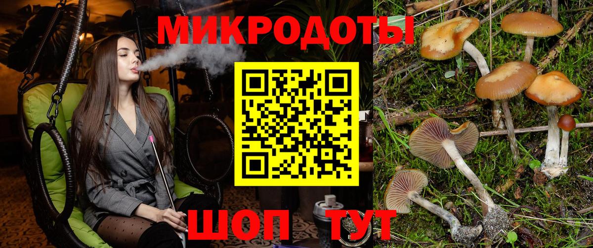 дарнет шоп  Галлюциногенные грибы Psilocybine cubensis  Вход с VPN  Алапаевск 
